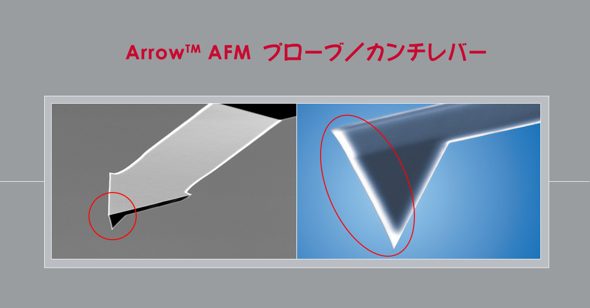 NanoWorld社製 Arrow AFMプローブ